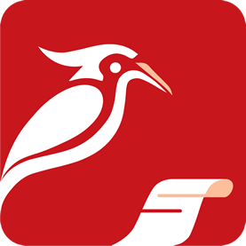 啄木鸟标准法规审查系统